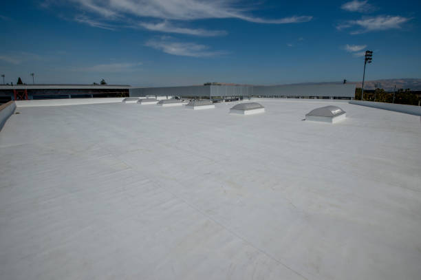 Trusted Andalusia, IL Roofing Service Experts