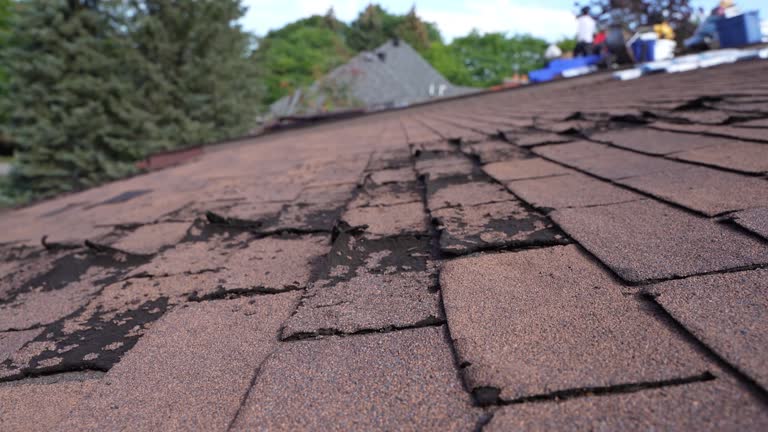 Best Cold Roofs  in Andalusia, IL