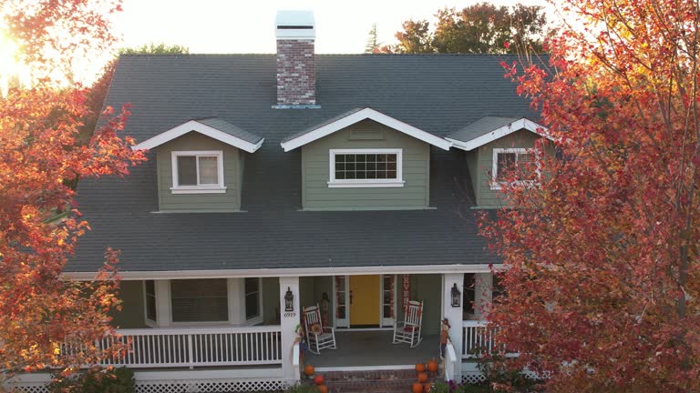 Best Gutter Installation and Repair  in Andalusia, IL