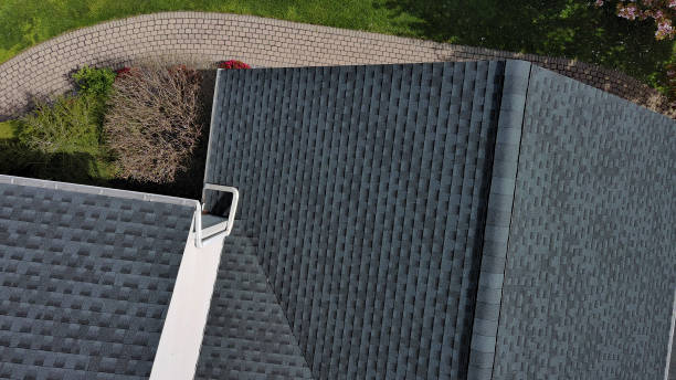 Best Skylight Installation and Repair  in Andalusia, IL