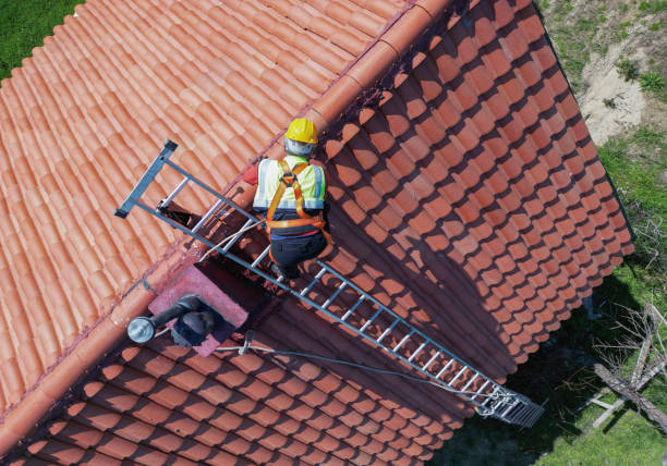Best Asphalt Shingles Roofing  in Andalusia, IL
