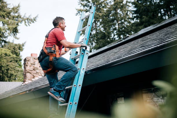 Best Skylight Installation and Repair  in Andalusia, IL